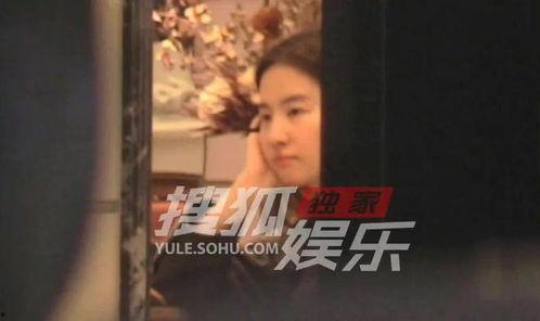 圈内爆料刘天仙,圈内爆料揭秘  第3张