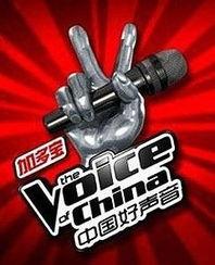 中国好声音第二季全集在线观看,梦想舞台，激情燃烧的视听盛宴